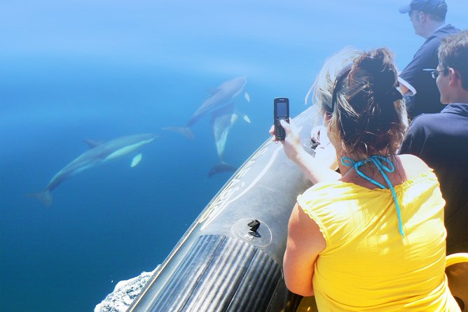 Cheapest Family Friendly Boat Trip From Vilamoura Algarve