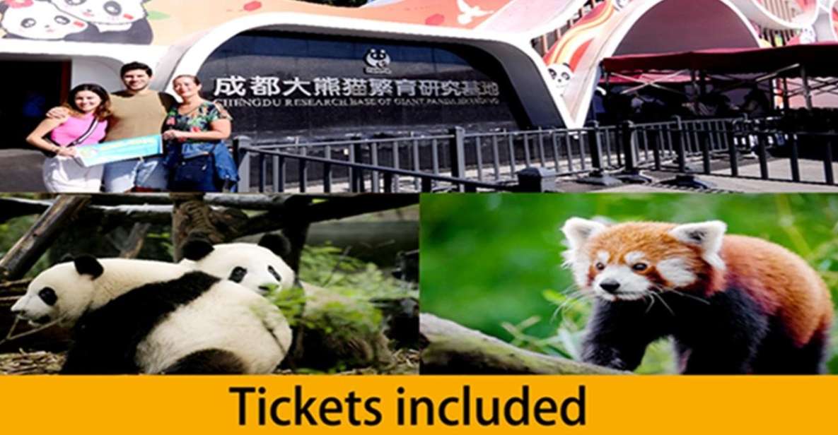 Chengdu Panda Base Half Day Tour - Tour Overview