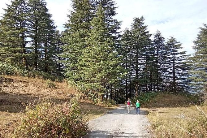 Chhaskhet Nature Walk - Overview of the Nature Walk