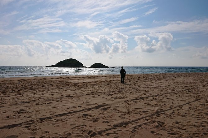 Chia Beaches Tour From Cagliari