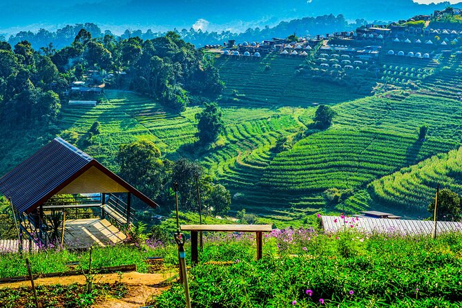 Chiang Mai Mon Jam Highlands and Pongyang Full-Day Private Tour