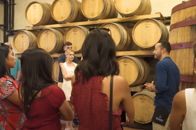 Chianti Vineyards: Small-Group Tour With Wine Tasting & Dinner