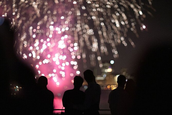 Chicago Fireworks Dinner Cruise With Buffet