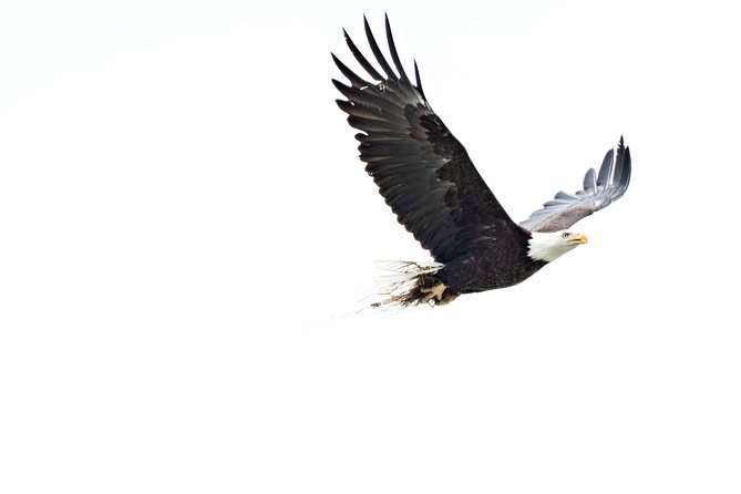 3 Best National Park Tours In Haines