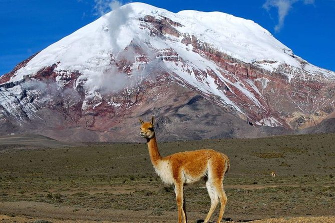 Chimborazo Tour From Quito: Hiking and Ascent to Condor Cocha All Included