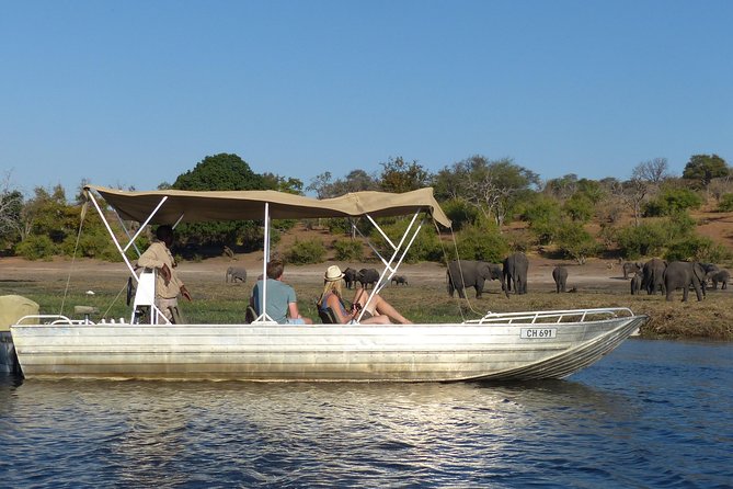Chobe Full Day Trip From Victoria Falls - Overview of Chobe National Park