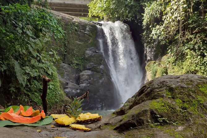 Chocolate Native Indigenous Tour and Waterfall Adventure