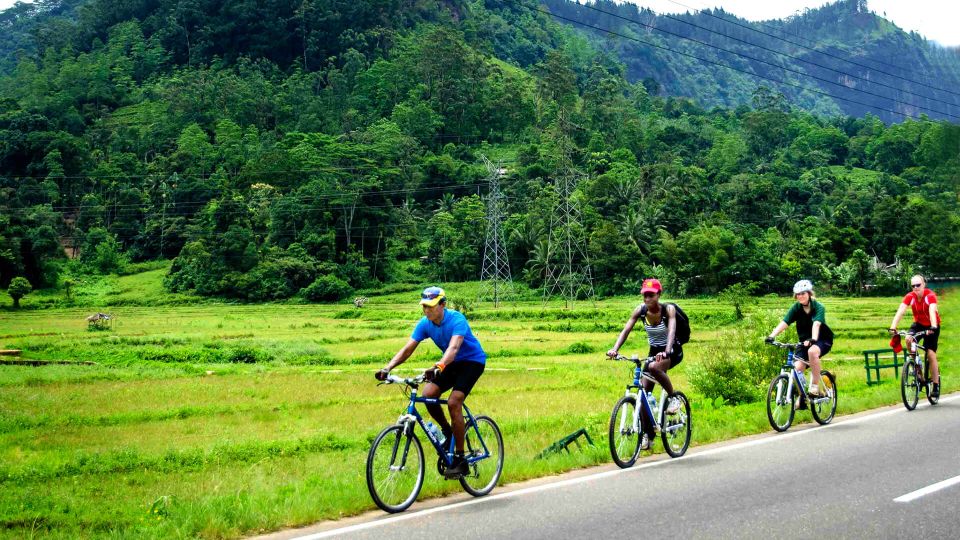 City & Fort Cycling Tour in Galle - Tour Overview