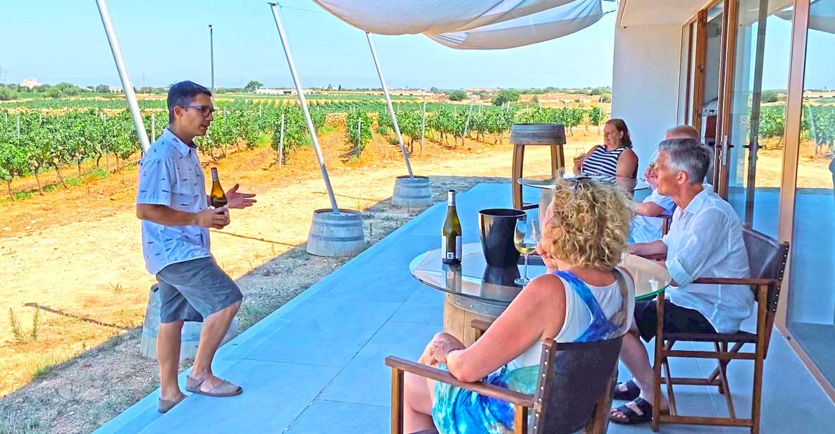 Ciutadella De Menorca: Family Winery Tour With Wine Tasting - Tour Overview