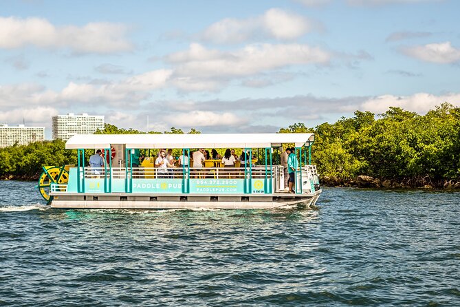 Clearwater Island Hop and Dolphin Watch With Swimming - Overview and Details