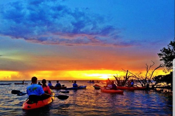Cocoa Beach Night Time Bioluminescence Kayak Tour - Kayak Options Available