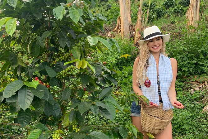 Coffee Farm and Santa Rosa Hot Springs Tour From Pereira or Armenia