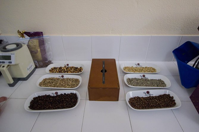 Coffee Farm Experience at Hacienda San Alberto From Salento