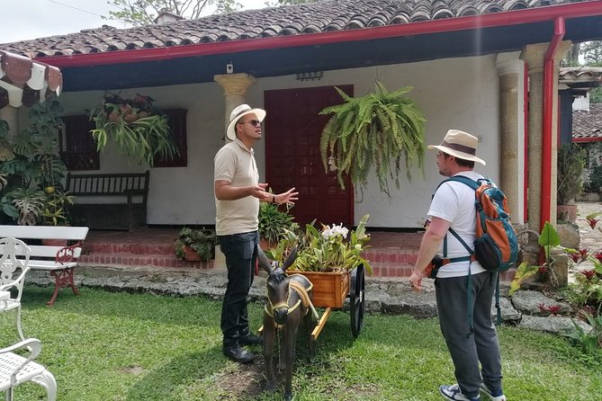 Coffee Farm - Group Tour and Daily Departure - Included in the Tour