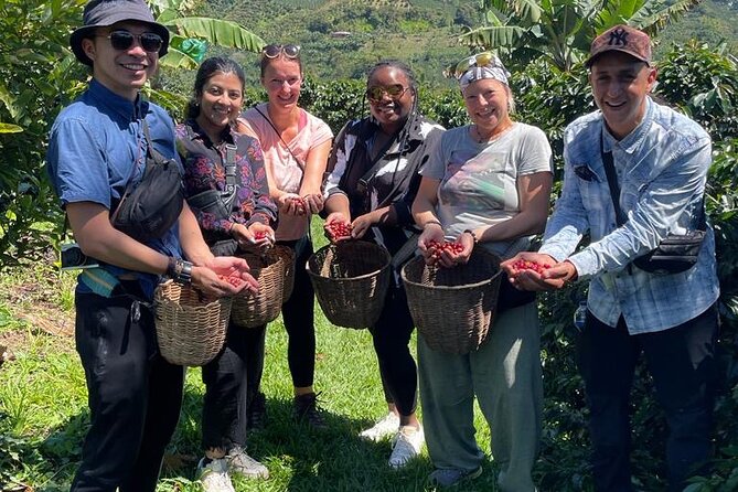 Coffee Tour and Jeep Tour at Finca Mariposa in Jardin - Highlights of the Experience