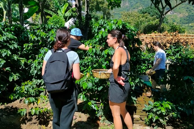 Coffee Tour in Lake Atitlán