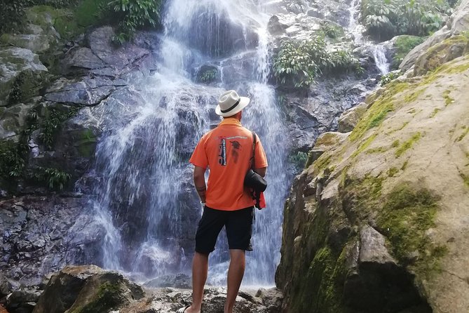 Coffee Tour La Victoria and Waterfalls in Minca - Private Tour