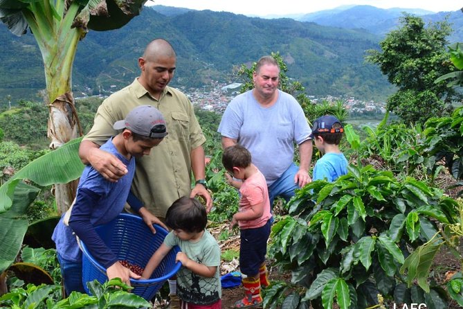 Coffee Tour Los Sauces