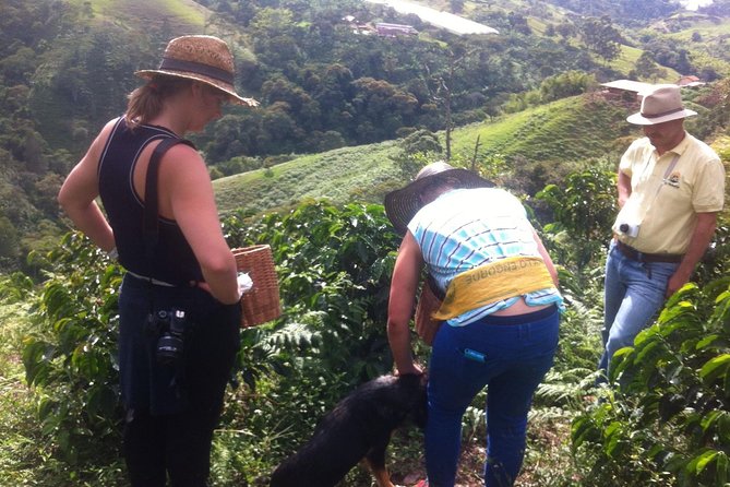 Coffee Zone 2 Days All Inclusive Jardin and Jerico From Medellin