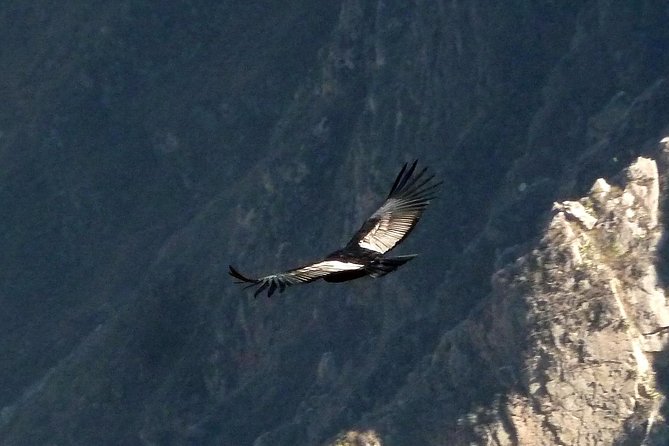 Colca Trek - 2 Days Tour
