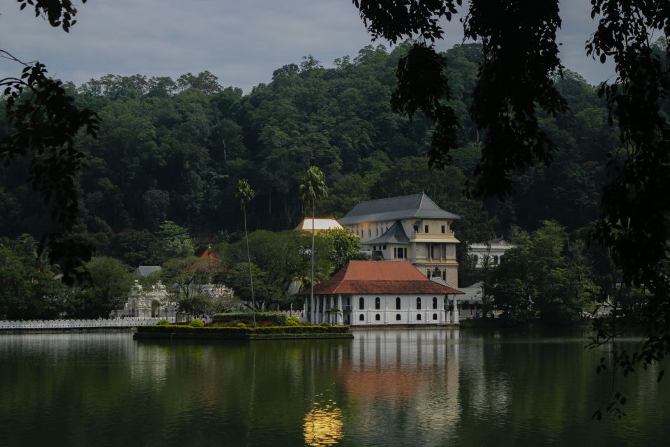 Colombo or Negombo: Temple of the Tooth Kandy Day Trip - Trip Overview and Pricing