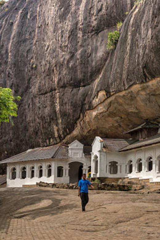 Colombo: Sigiriya & Dambulla Excursion Followed by a Safari - Excluded Services