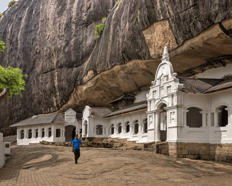 Colombo: Sigiriya & Dambulla Excursion Followed by a Safari - Excursion Overview