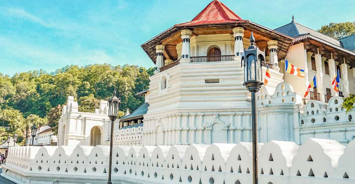 Colombo to Kandy Temple of Tooth Day Trip (Kandy City Tour) - Tour Overview and Pricing