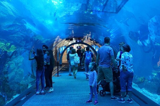 Combo Dubai Mall Aquarium + Skyview Observatory Tickets