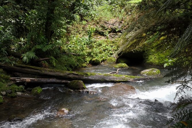 Combo Tour Poas Volcano and La Paz Waterfall and Coffee Tour