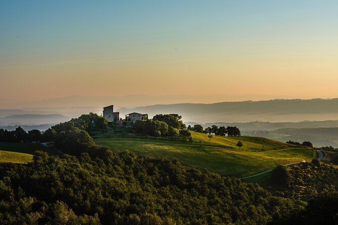 Come Try Our Torre Bisenzio Organic Wines, in the Luxury of Our New Tasting Room