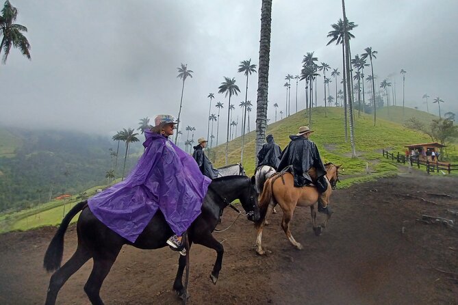 Complete Horseback Riding Valle Del Cocora - Overview of the Experience