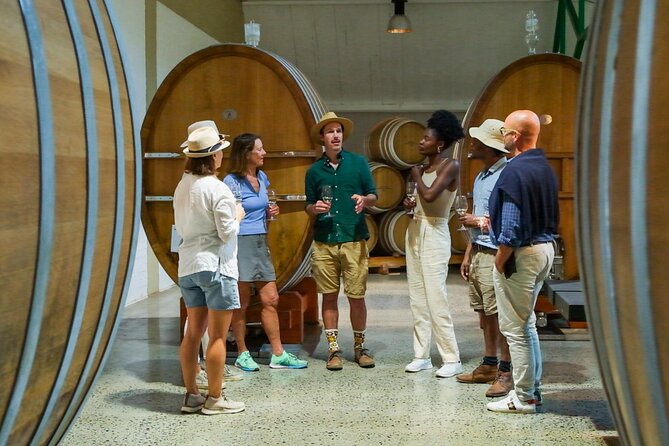 Constantia Wine Walk Storytelling Vineyard Tour With Lunch
