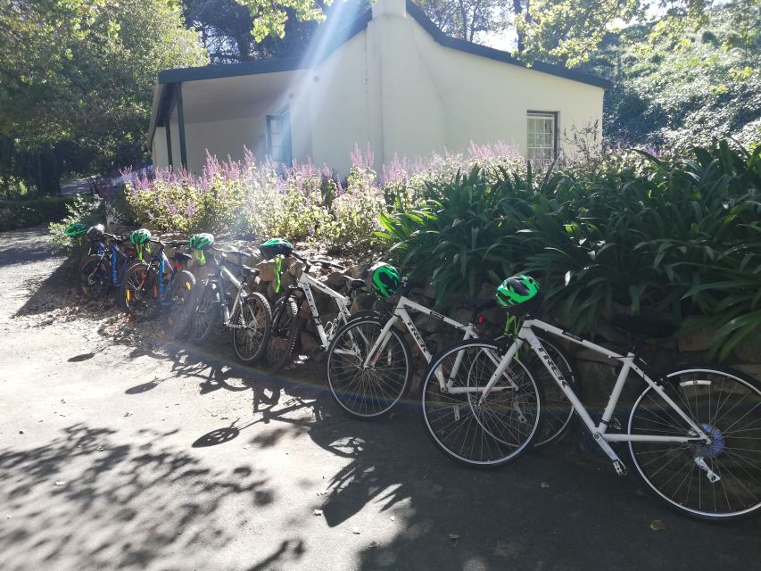 Constantia: Winelands Private Bike Tour