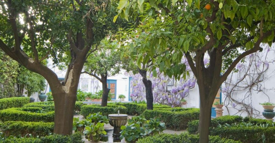 Córdoba: Viana Palace Gardens and Patios Entry Ticket