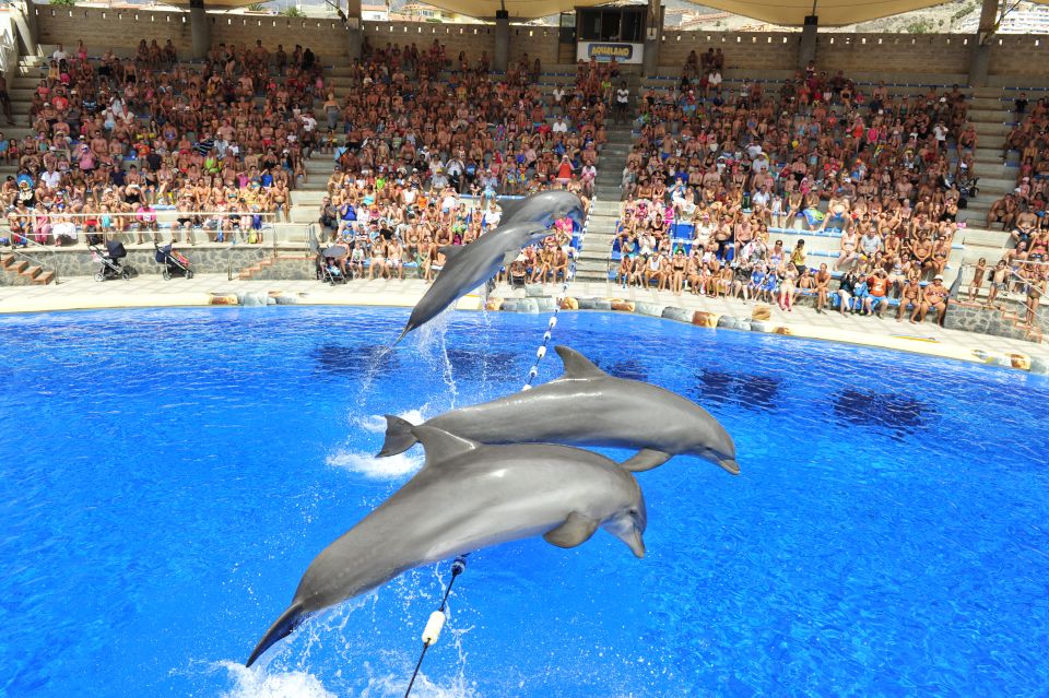 Costa Adeje: Aqualand Water Park Ticket With Dolphin Show - Ticket Information and Pricing