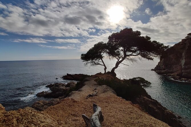Costa Brava Kayak Experience With Snorkel From Barcelona
