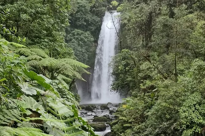 Costa Rica Day Trip Tour With Lunch