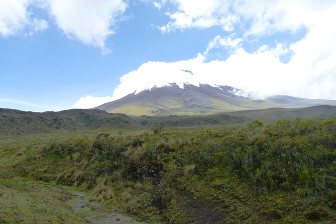 Cotopaxi Full Day Tour