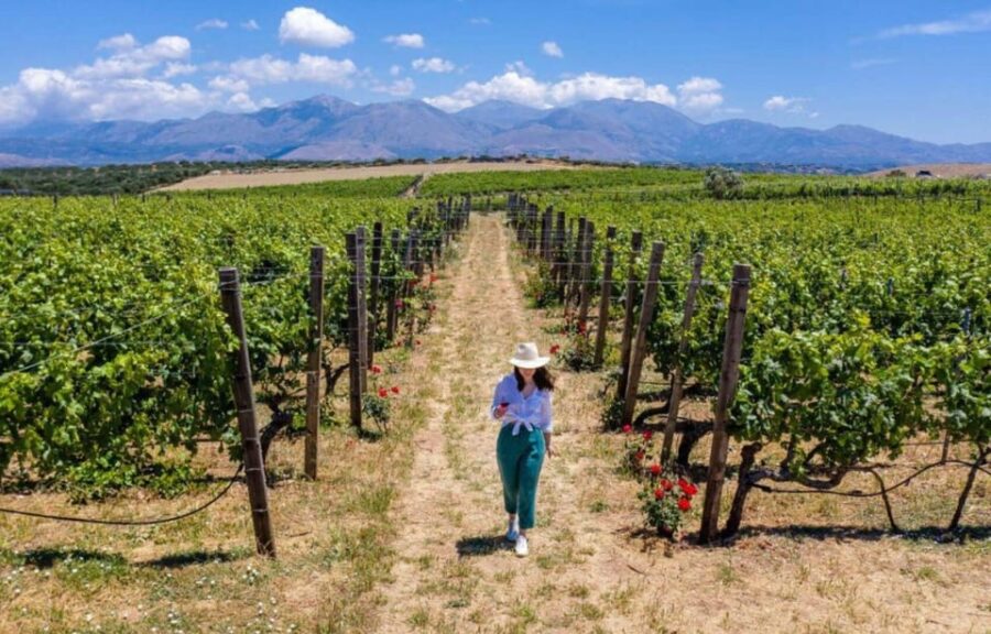 20 Best Wine Tours In Heraklion