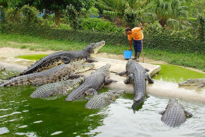 Crocodile Adventureland Langkawi Admission Ticket - Overview of the Park