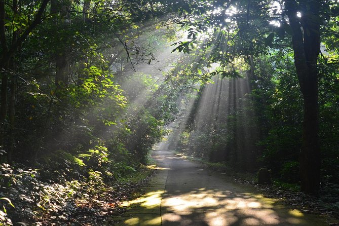 Cuc Phuong National Park Trekking Day Trip