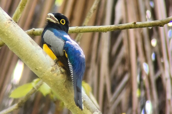 Curú Wildlife Refuge With Transportation