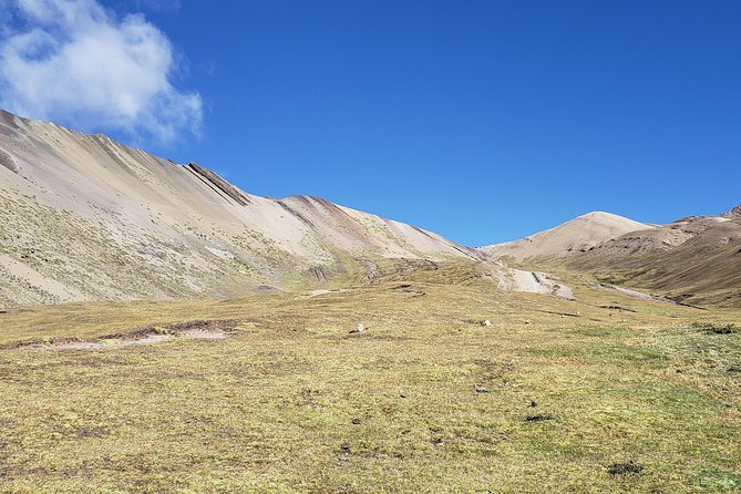 Cusco: Alpaca and Llama Farm Tour With Transfer & Weaving Demo - Pickup and Start Time
