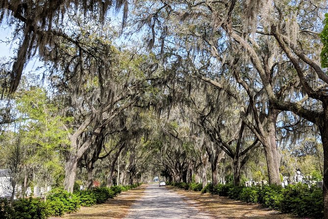 Custom Savannah Private Tour