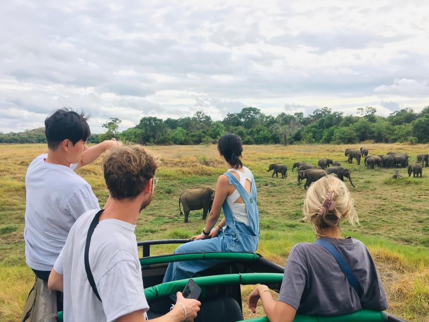 Dambulla/Sigiriya/Habarana: Minneriya National Park Safari - Activity Overview