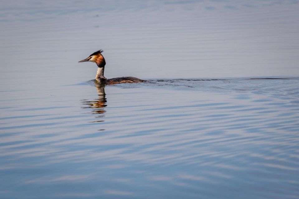 Danube Delta - 2-Day Tour From Bucharest - Overview of the Tour