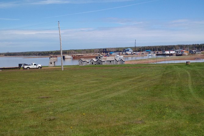 Davids North Shore Tour