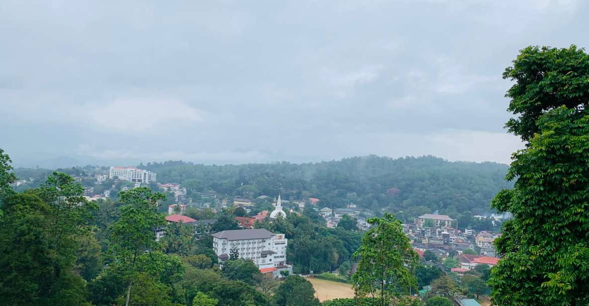 Day Tour in Awesome Kandy City From Colombo - Tour Overview and Pricing