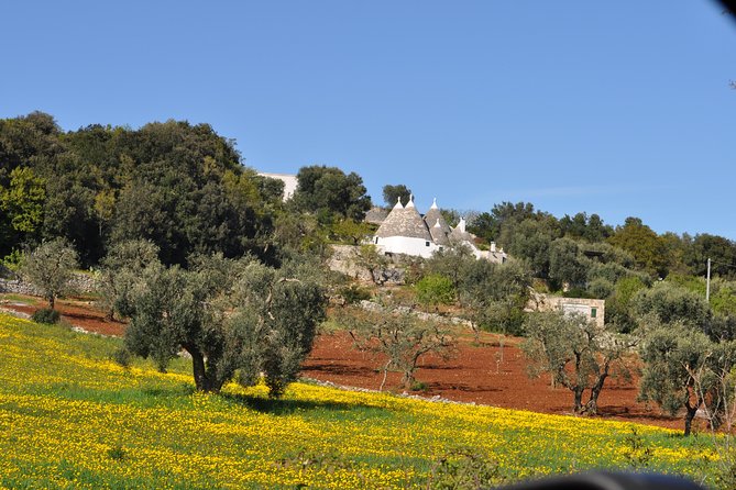Day Tour of Bari, Alberobello, Matera